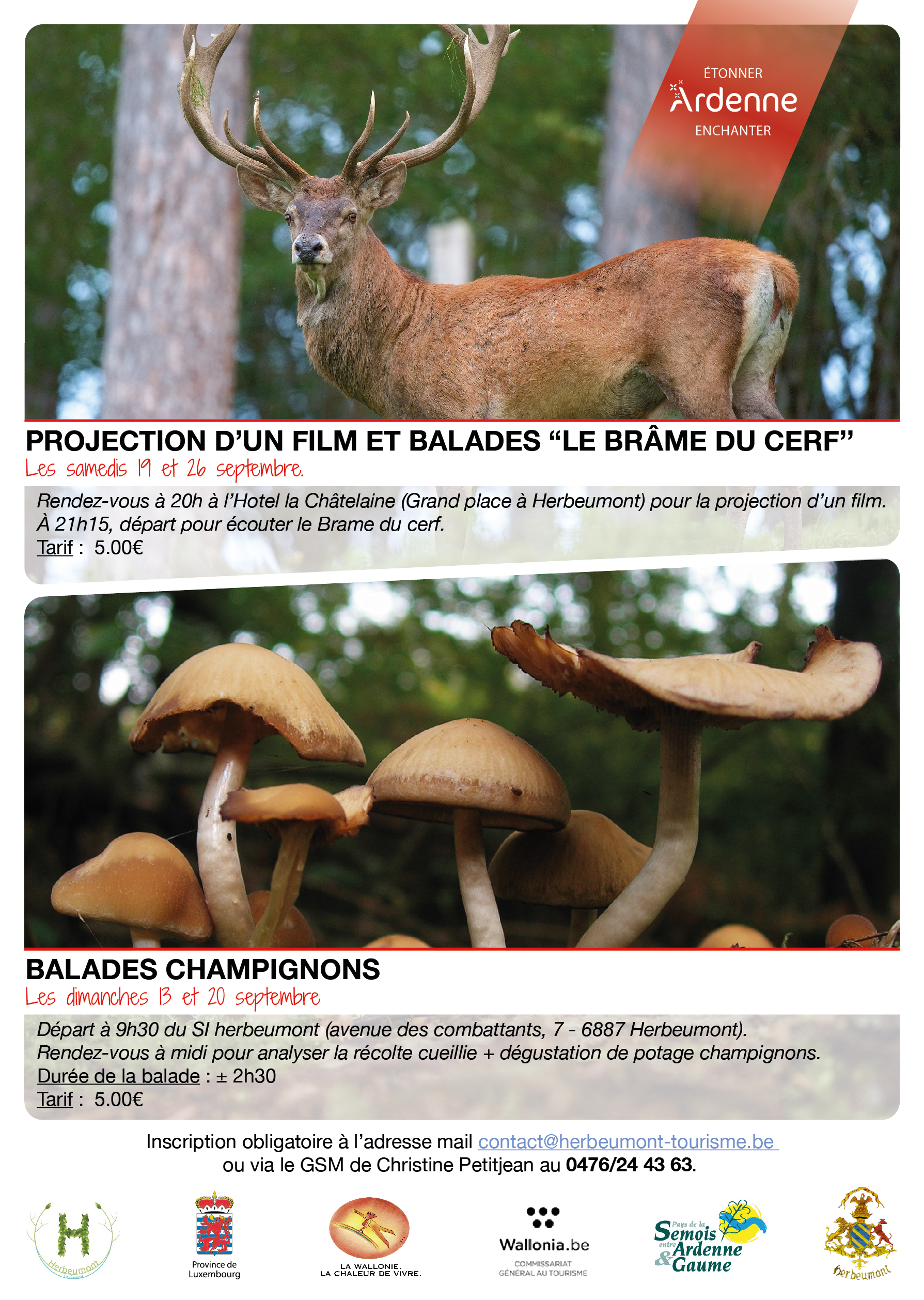 Balade brame du cerf 